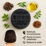 Shampoo en Barra Fortalecedor x2 · Polygonum & Argán